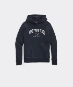 Sweatshirts & Sweatpants<Vineyard Vines Boys' Sun-Washed Full-Zip Hoodie Grey Heather