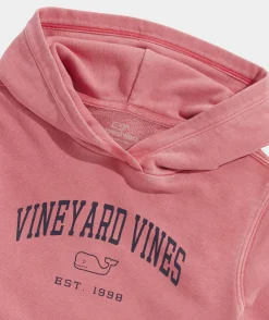 Sweatshirts & Sweatpants<Vineyard Vines Boys' Sun-Washed Hoodie Vineyard Navy